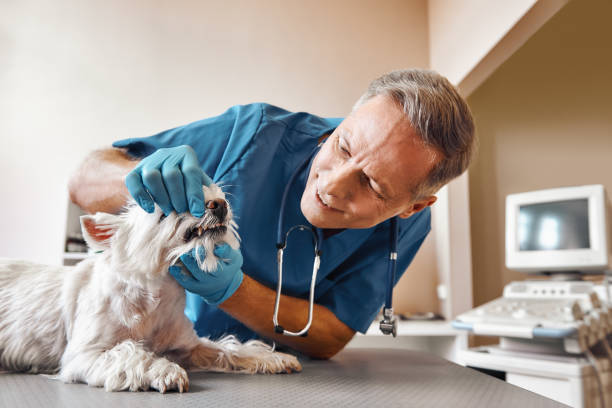 Best Emergency Tooth Extraction  in Columbia, PA
